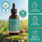 Bossoch Complete Liver Support To Restore Energy And Vitality